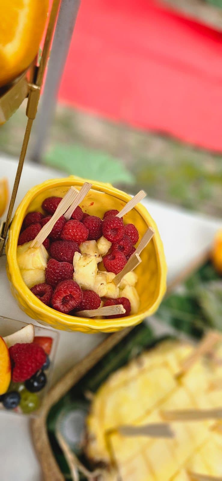 Fruit bar 5