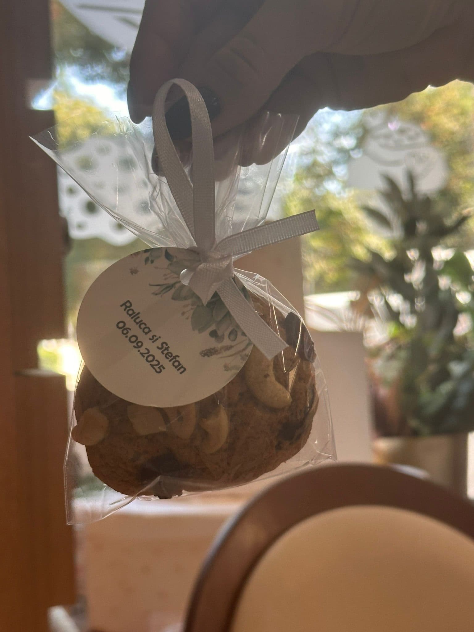 Mărturii dulci 6