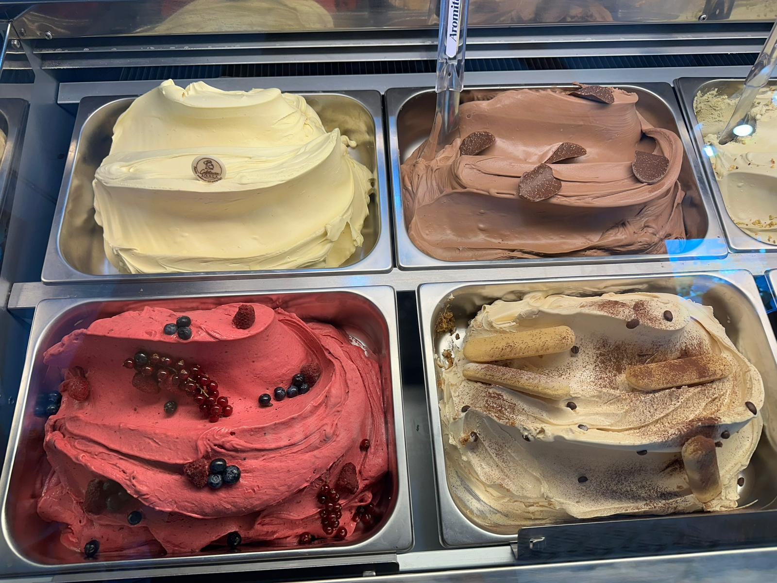 Gelato artizanal 15